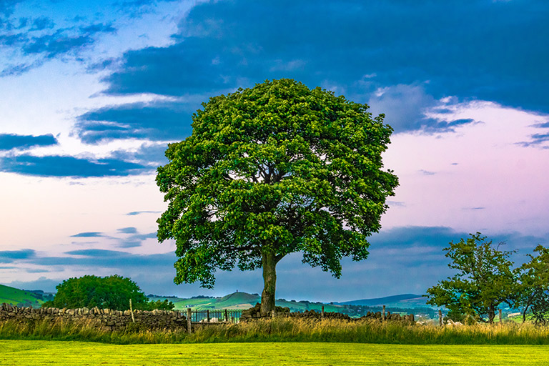 Property Valuation Services Richard Turner & Son